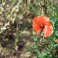 Photo by Petr Kratochvil, via http://www.freestockphotos.biz/