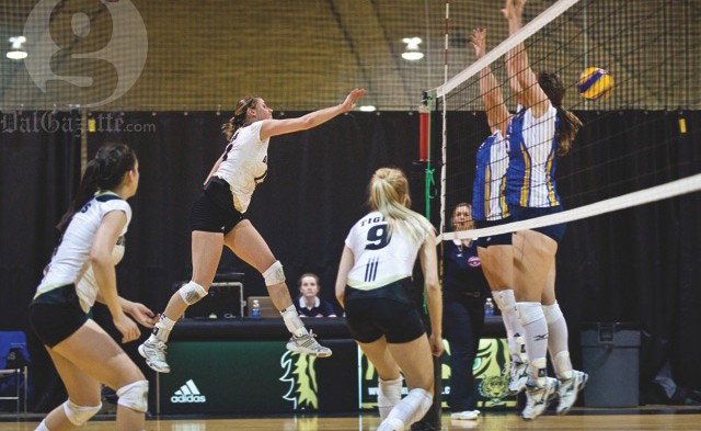 Volleyball by Pau Balite Player of the game Louise Facca punches the ball past Moncton's blockers. Photo by Pau Balite