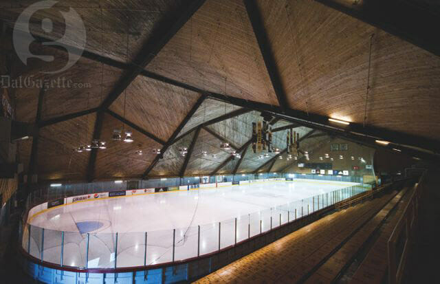 Dal Tigers: Winter 2012 Semester in Review