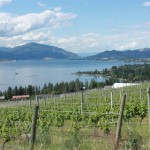 The Okanagan Valley is a ripe spot for Riesling. (Jessica Emin photo)