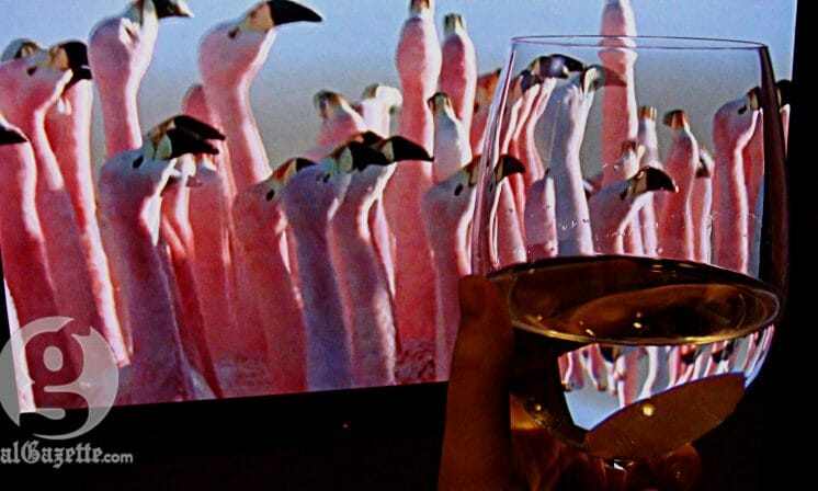 Fun movies for wine lovers