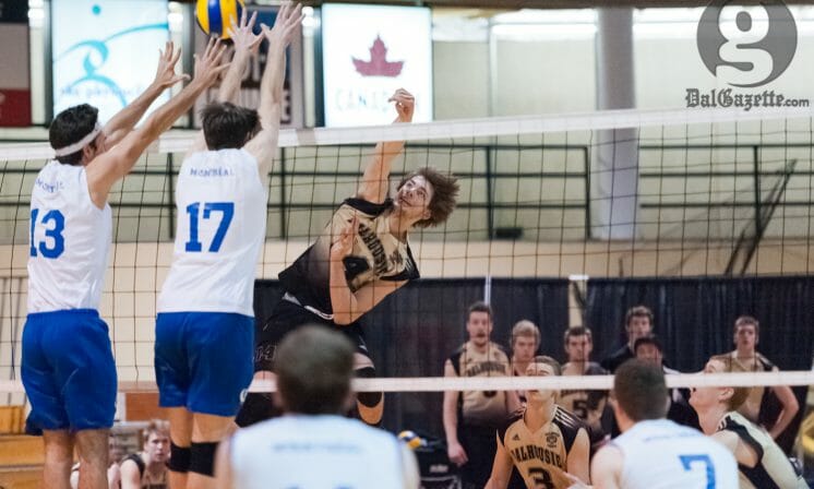 Locked in: men's vball holds their own