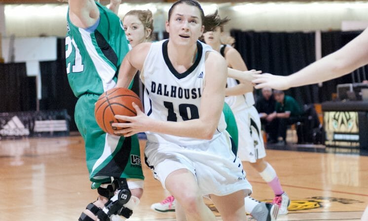 Tigers drop two straight at home