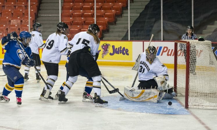Dal women's hockey pleads for reinstatement
