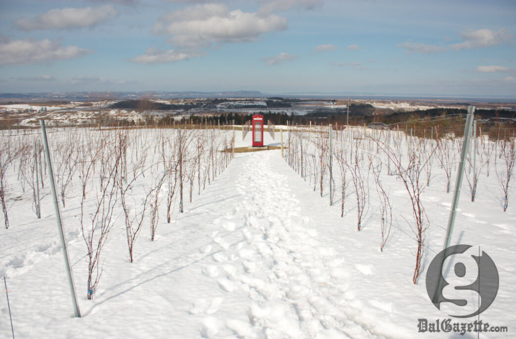 In Luckett Vineyard, you can use this phone booth to call any loved one for free. (Jessica Emin photo)