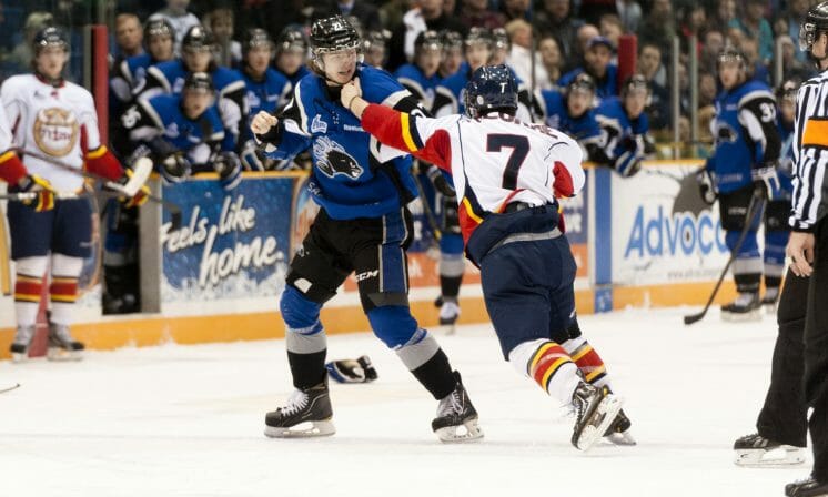 The Importance Of Fighting In Hockey