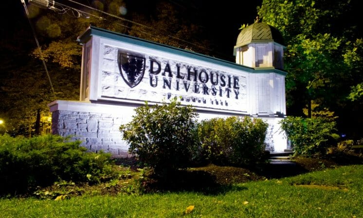 Dal must stop unsustainable expansion