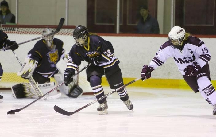 Tigers lose 4-1 to Huskies