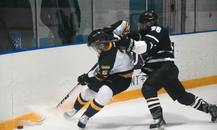 Dalhousie men’s hockey set to improve
