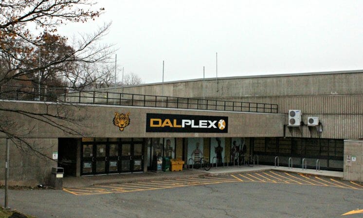 What does the Dalplex do with our money?