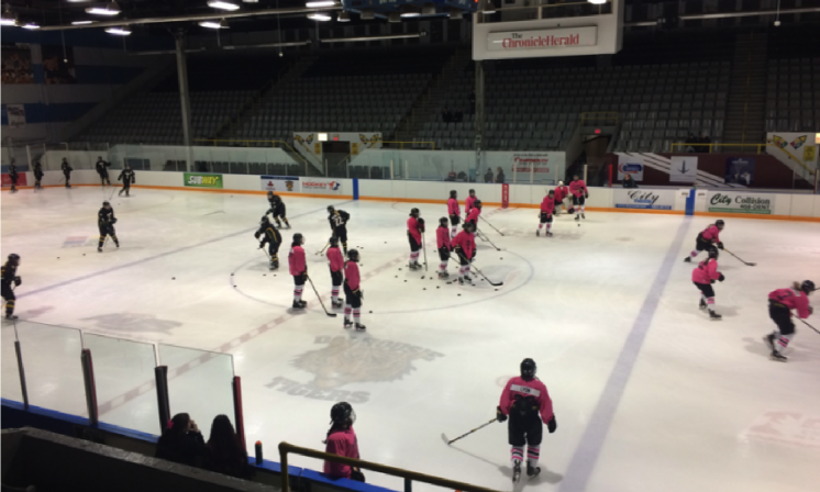 Pink in the Rink night