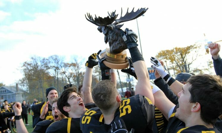 Tigers' football prowling for a repeat