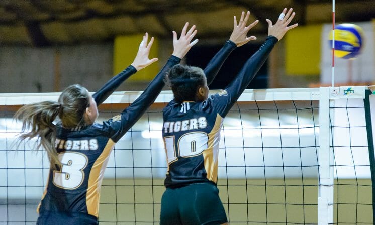 Tigers eager to keep winning