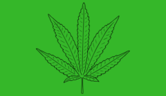 Cannabis on Campus