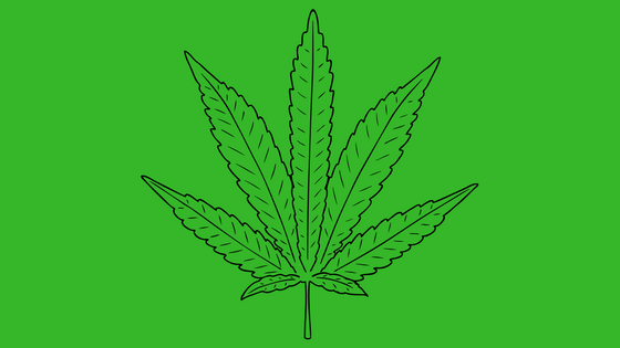 Cannabis on Campus