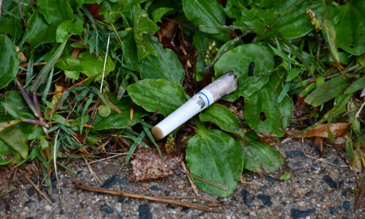 Smoking ban? Not a fan