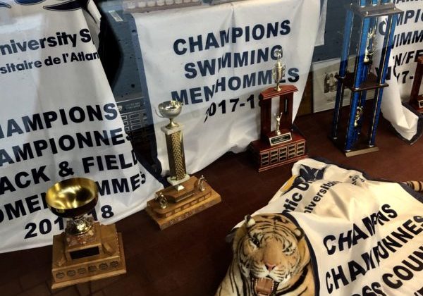 DalDynasties_KarlaRenic Some of Dalhousie's athletic awards inside the Dalplex.