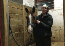 In defence of horse girls_Provided by Rebecca Dingwell In defence of horse girls_Provided by Rebecca Dingwell