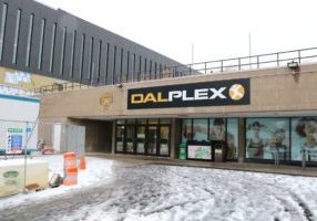 dalplex by chris stoodley-3_preview dalplex by chris stoodley-3_preview