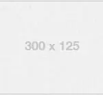 300×125