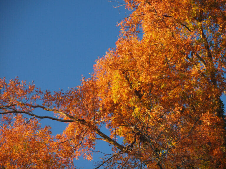 Stock photo: http://www.publicdomainpictures.net/