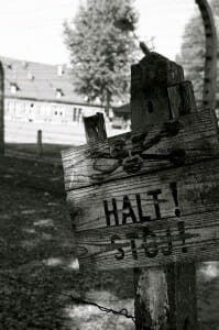 When to stop -- photo by Laura Hubbard
