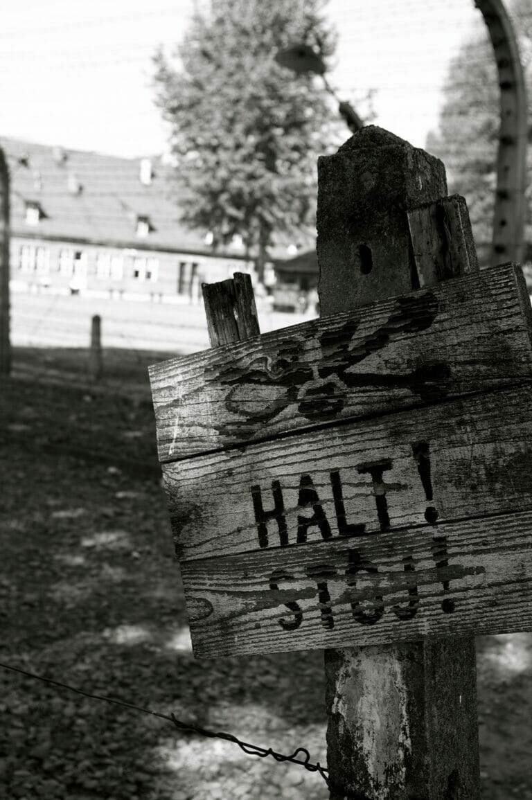 When to stop -- photo by Laura Hubbard