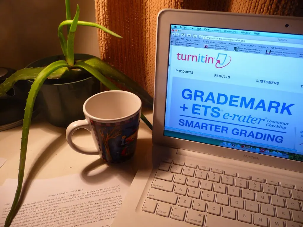 Coffee and papers, typical -- photo by Katrina Pyne