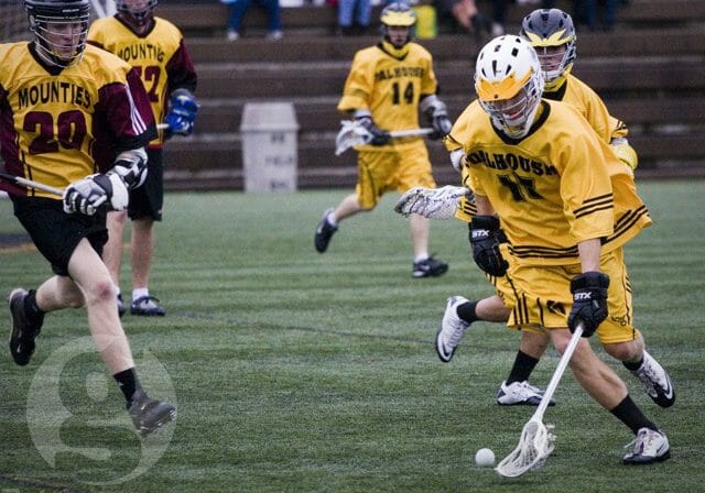 Dalhousie Tigers: Semester in Review