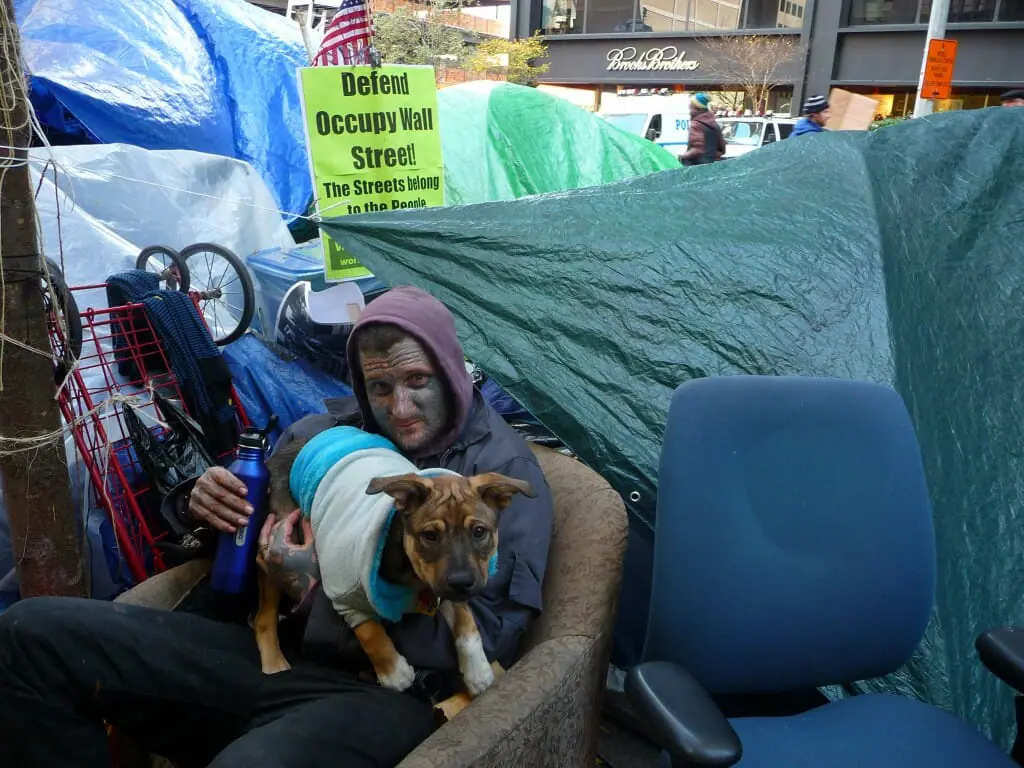 Jason Holmsea and the 20 dogs he looks after plan to stay in Zuccotti Park the entire winter if necessary. Photo by Kat Pyne.
