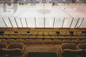 Arena