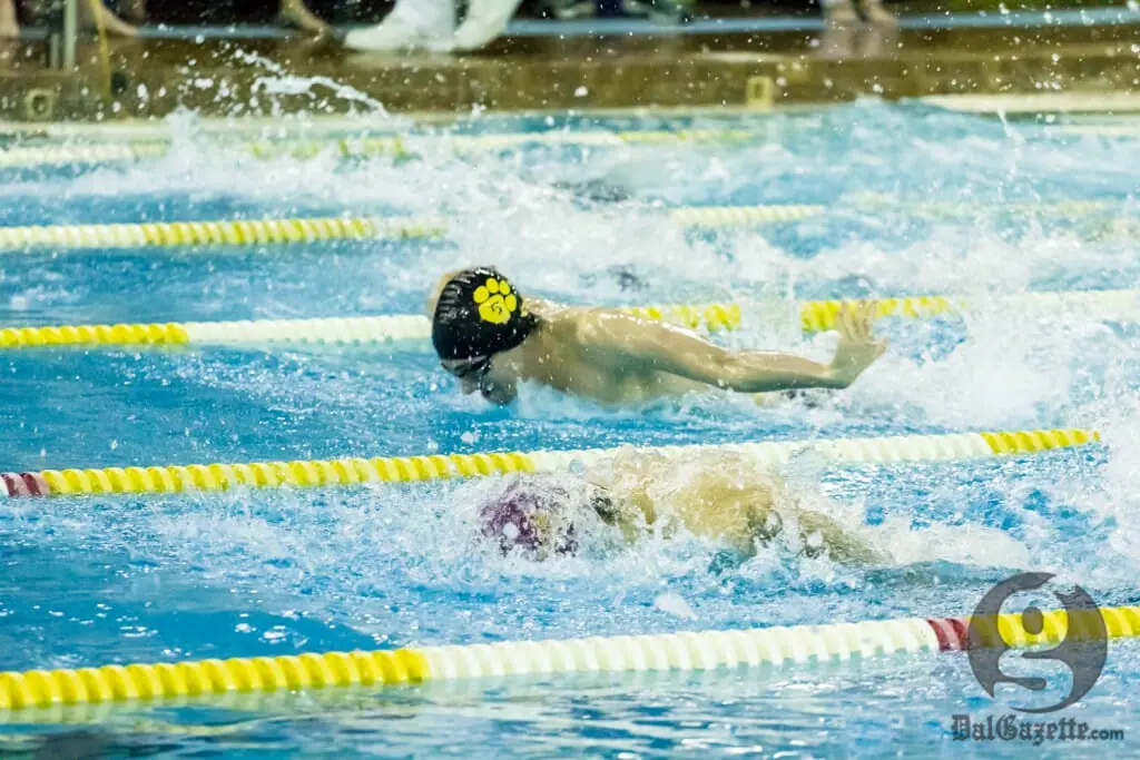 Rookie Jeremy Ryant and the Tigers swimming team was a force in the pool. (David Munro photo)