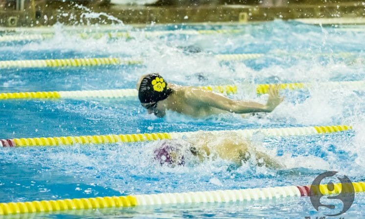 Tigers drown out the competition