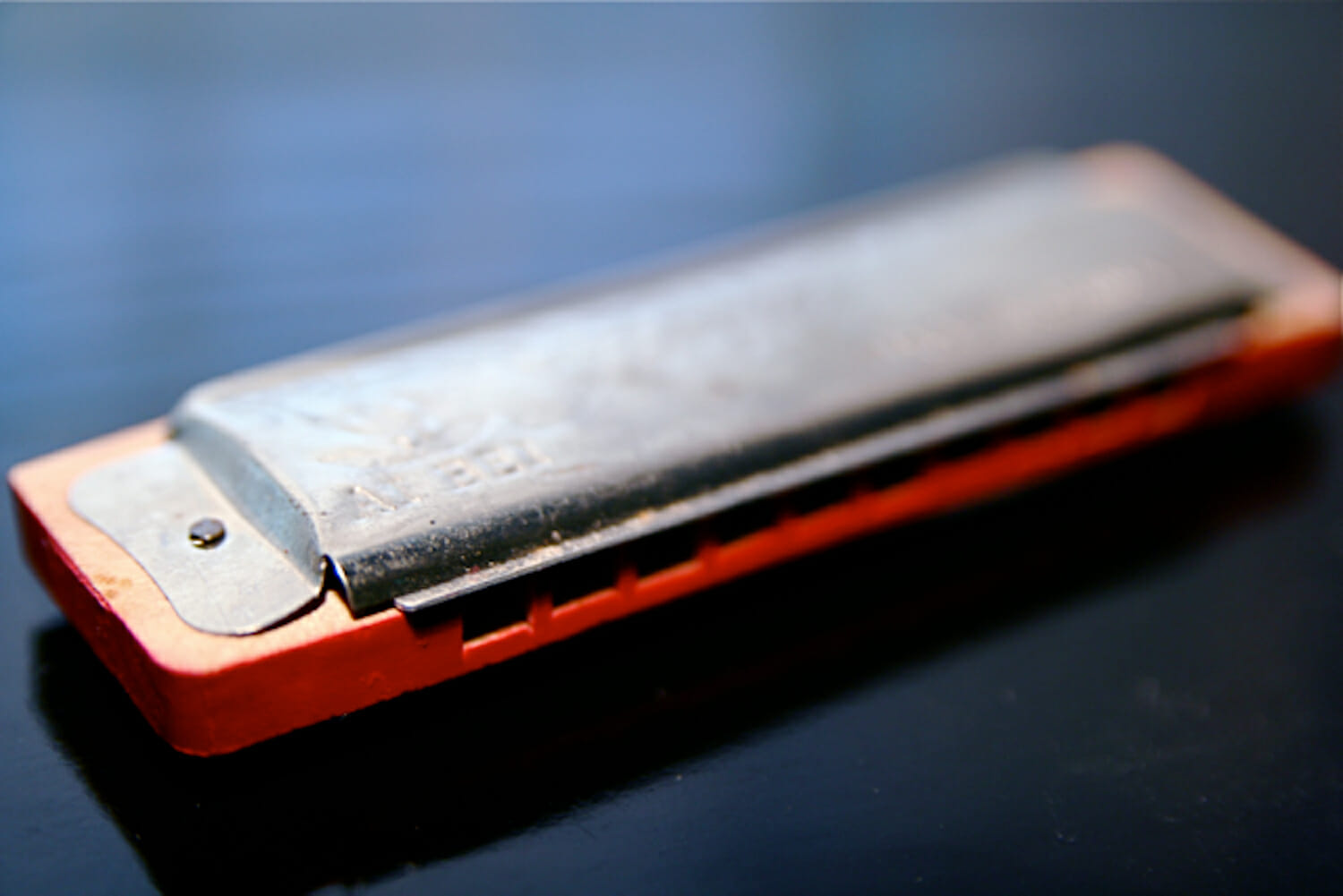 Diatonic. (Photo supplied)