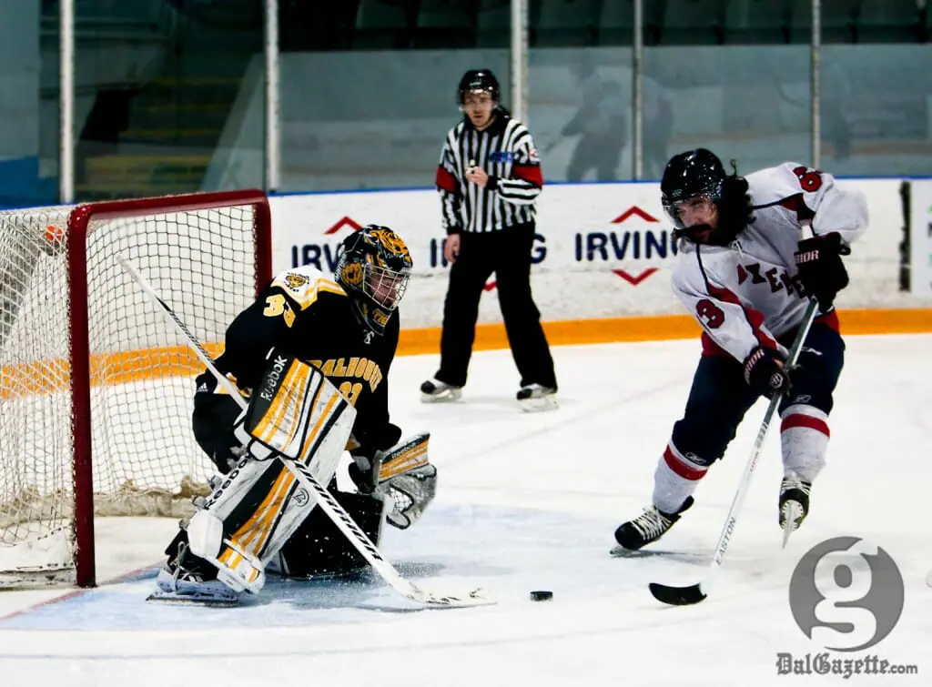 Wendell Vye stopped 31 shots in Dal's 3-1 defeat against Acadia. (Martina Marien photo)