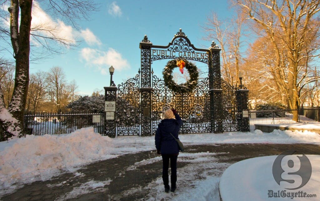 Platforms like Wikinews allow the public to weigh in on news stories. (Alice Hebb photo)