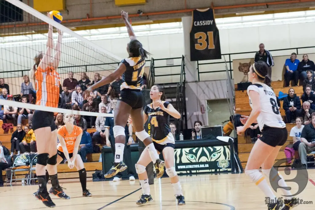 Rookie Rachel Wright helped the Tigers recuperate from a sluggish first set. (Chris Parent photo)