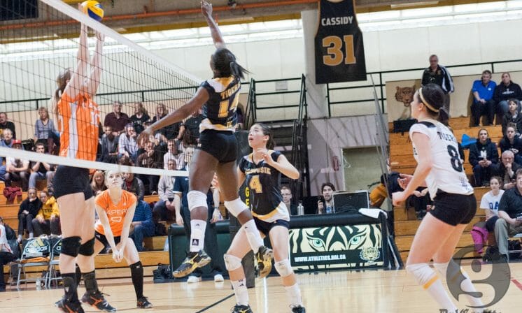 Winning spark for nationally ranked Tigers