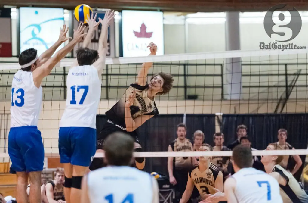 Kristen O'Brien tries to break the Montreal block in the Tigers' five-set victory over the Carabins. (Chris Parent photo)