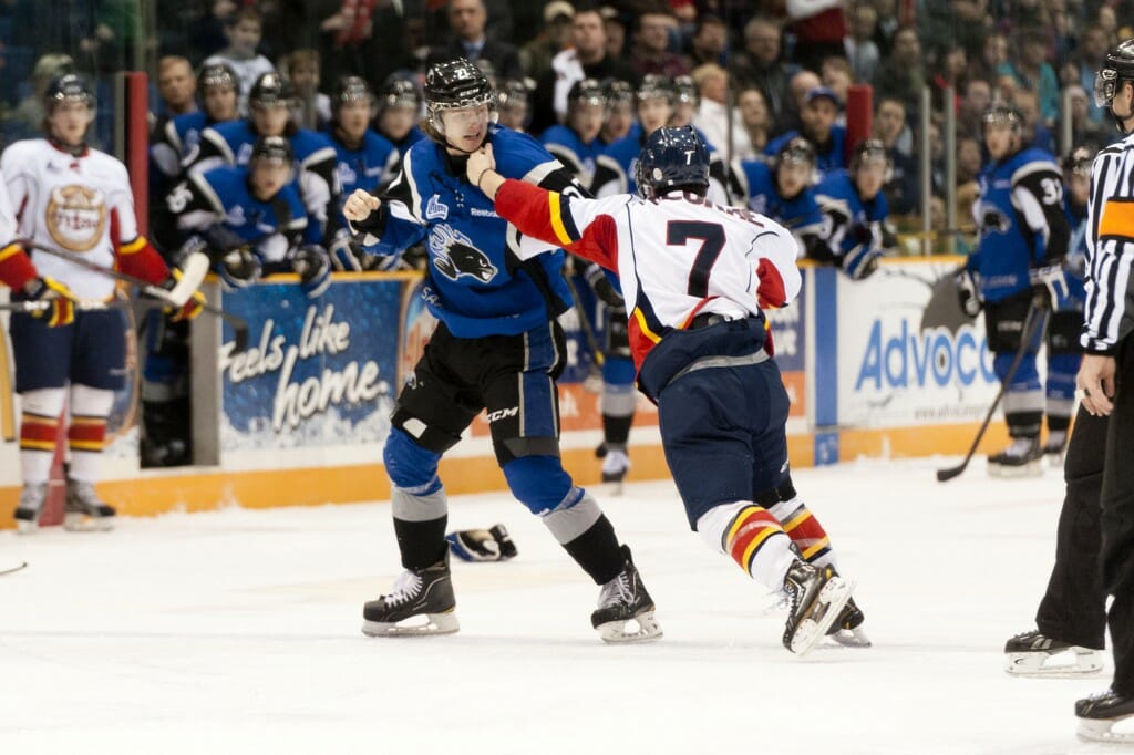 The Hockey Series Fighting in the Game Dalhousie Gazette