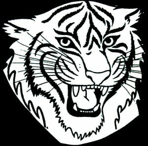 tiger