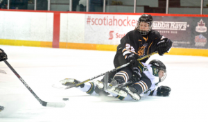 Tigers look to wipe the slate clean in 2014 - 2015 campaign. (Photo by Kit Moran)