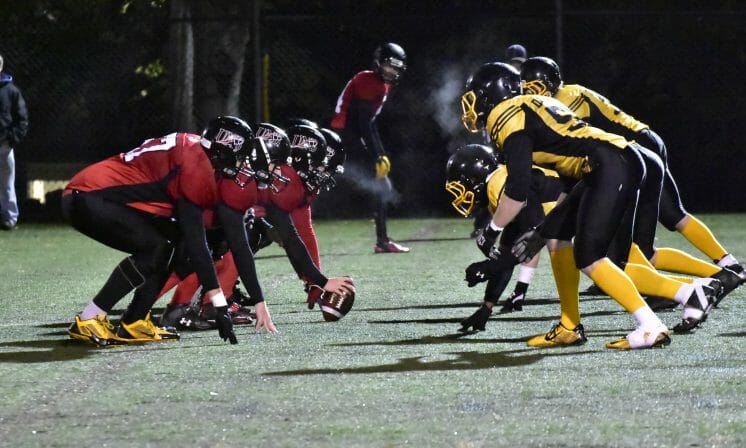 Gridiron Tigers Roll to Homecoming Win