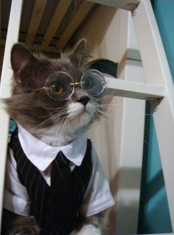 kitty5