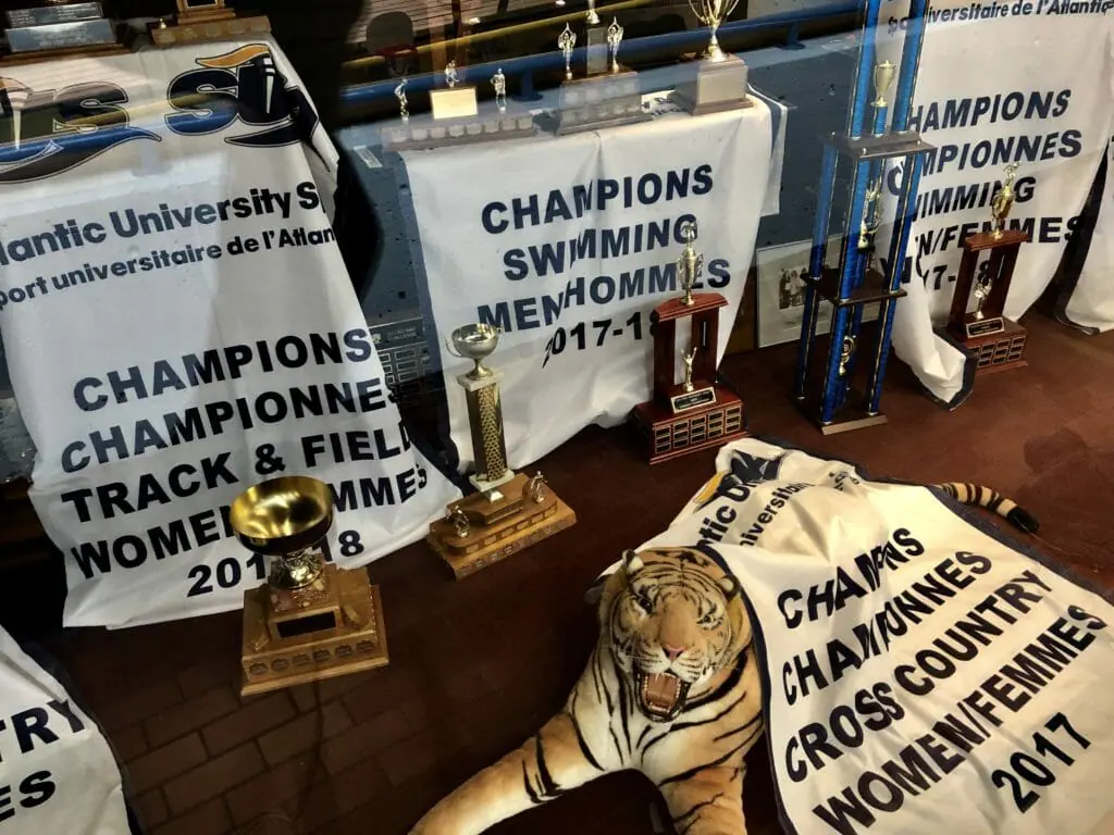 In this image: Dalhousie's athletic awards inside the Dalplex.