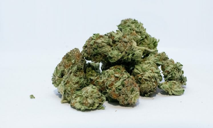 Beginner's guide from pot