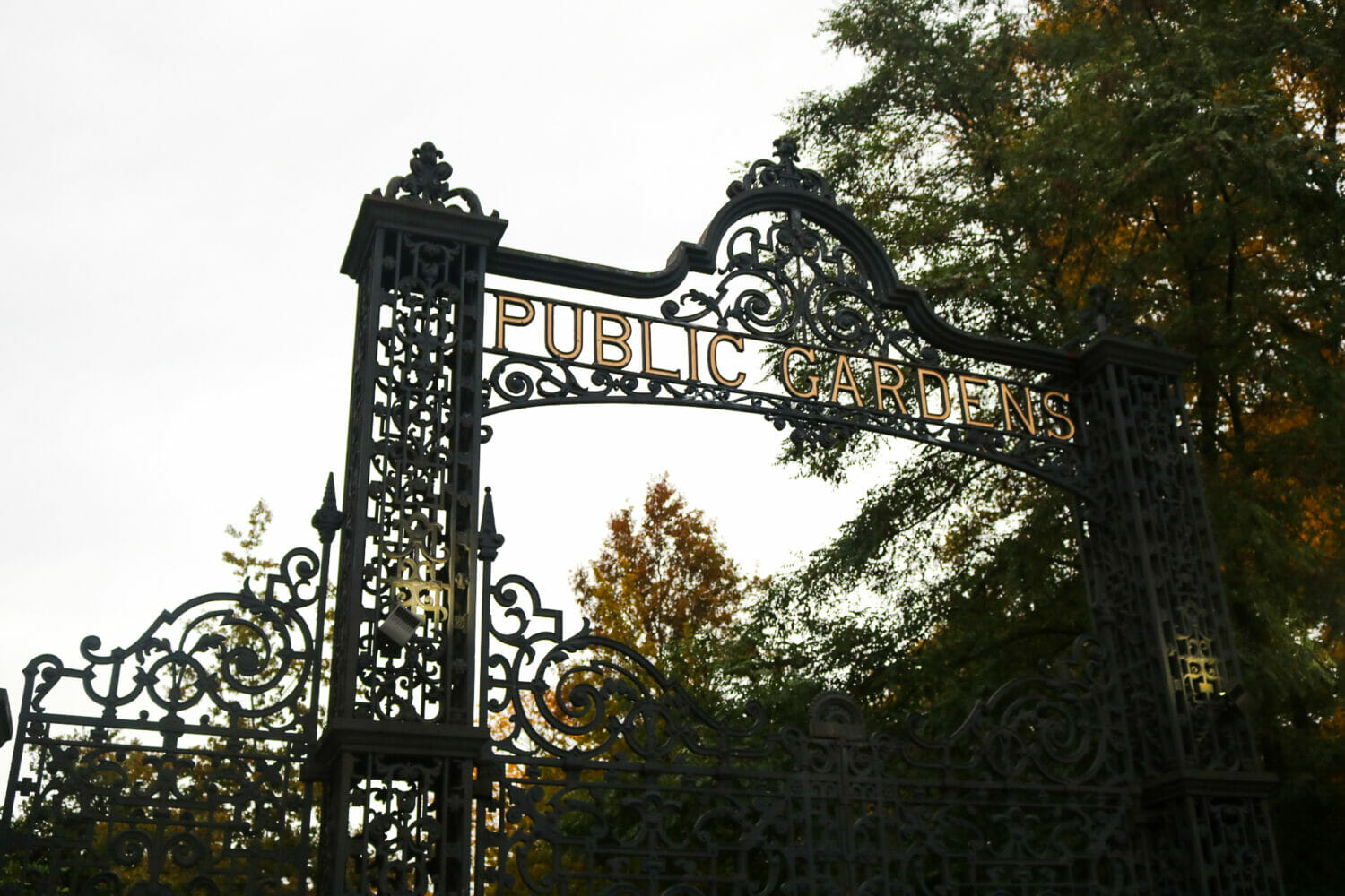 The Public Gardens gate.