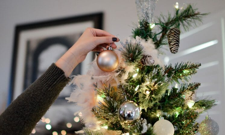 Home for the Holidays?
