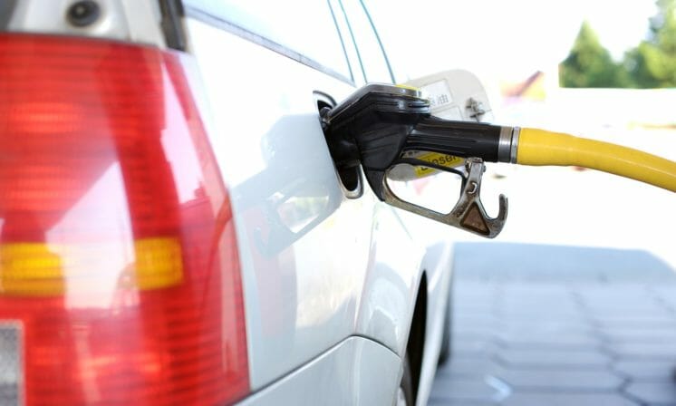 Contradictory Carbon Tax Catastrophe