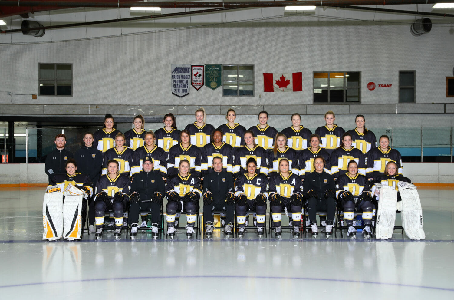 In this image: Dal's women's hockey team for the 2018-2019 year.